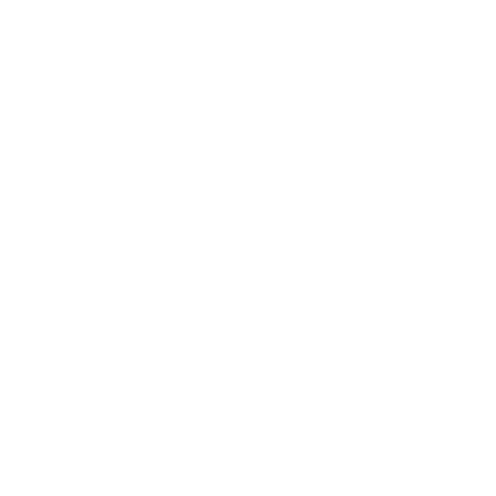 Bodhi